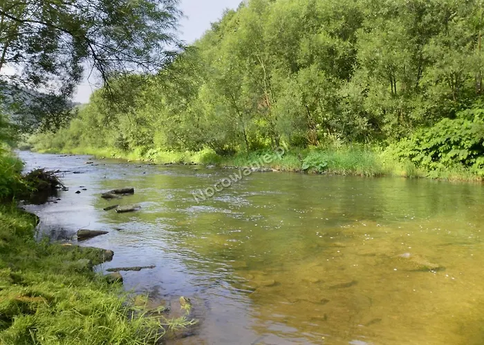 U Bartusia ויסלאו